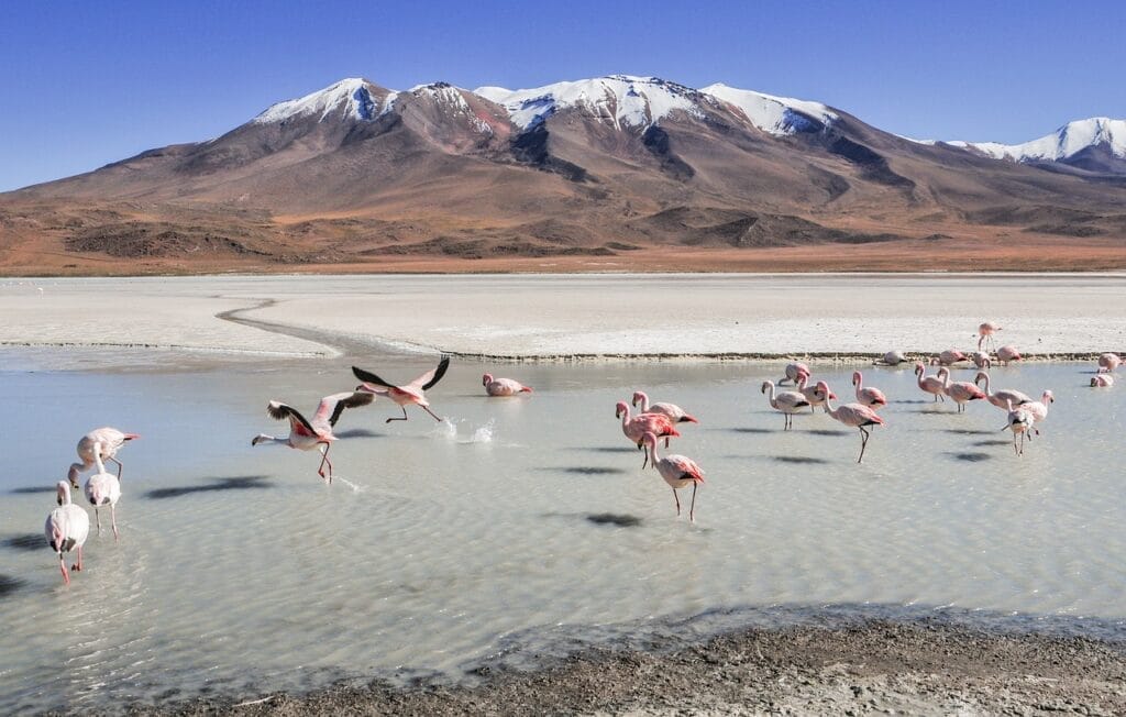 Australijskie góry Flinders Ranges – magia australijskiej przyrody