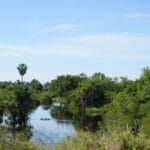 Najpiękniejsze drogi widokowe w Indiach