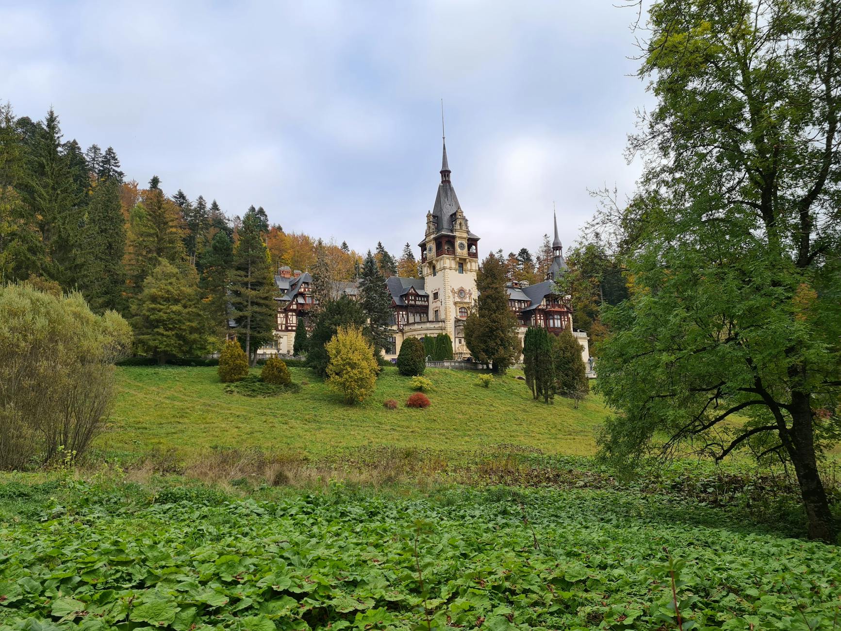 Zamek Peles w Sinaia otoczony jesiennym lasem